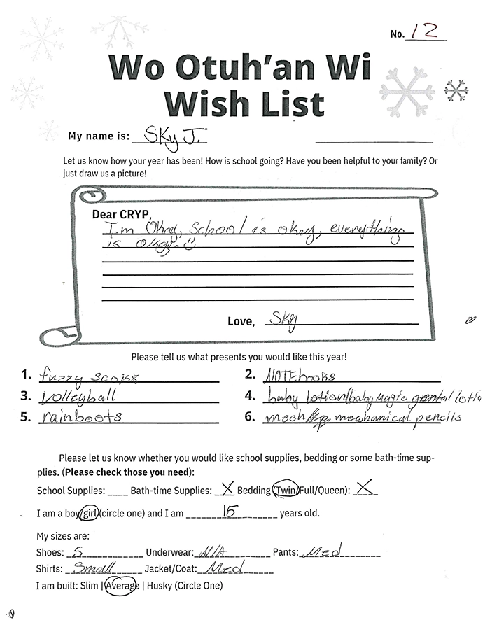 Toy drive wish list 12 for 15 year old female