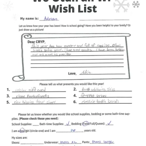 Toy drive wish list 31 for 16 year old male