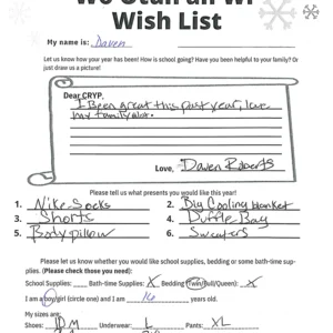 Toy drive wish list 4 for 16 year old male