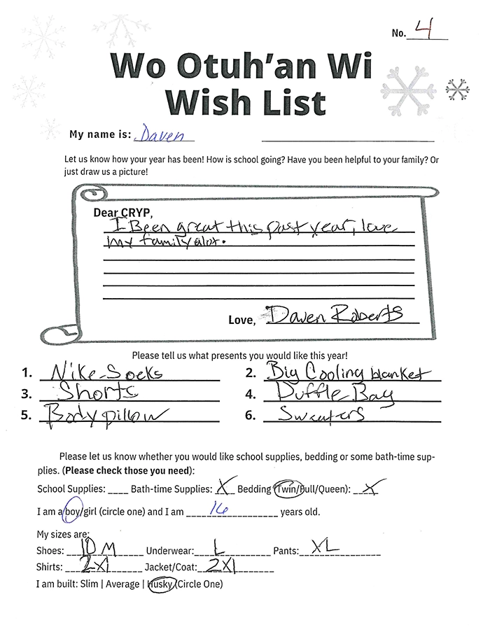 Toy drive wish list 4 for 16 year old male