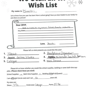 Toy drive wish list 86 for 16 year old male