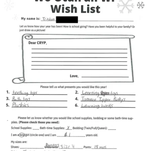 Toy drive wish list 462 for 1 year old male