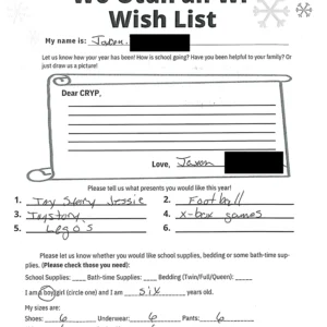 Toy drive wish list 423 for 6 year old male