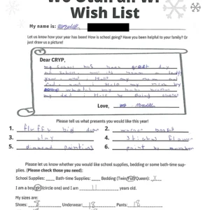 Toy drive wish list 460 for 11 year old female