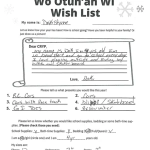 Toy drive wish list 394 for 4 year old male