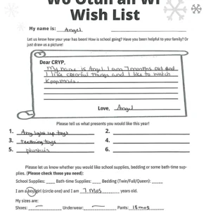 Toy drive wish list 646 for 7 month old male