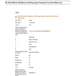 Toy drive wish list W16 for 1 year old male