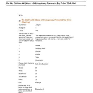 Toy drive wish list W19 for 2 year old female