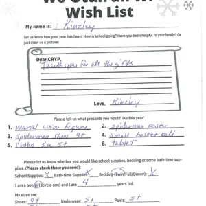Toy drive wish list 588 for 4 year old female
