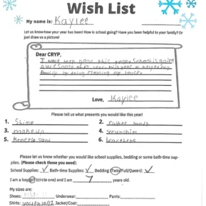 Toy drive wish list W2 for 7 year old female