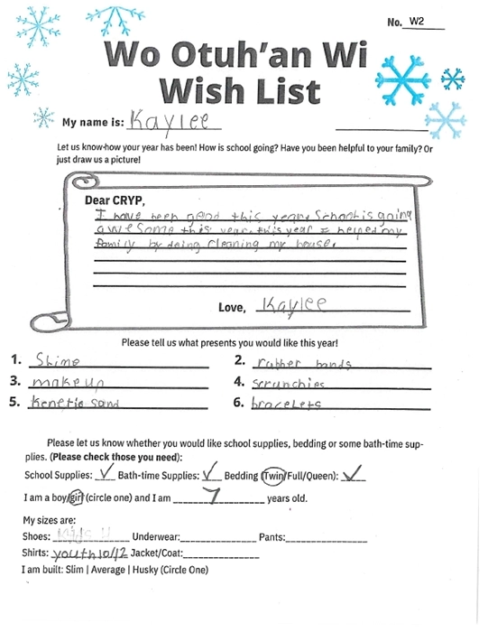Toy drive wish list W2 for 7 year old female
