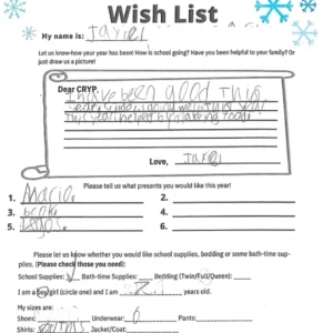 Toy drive wish list W11 for 7 year old male