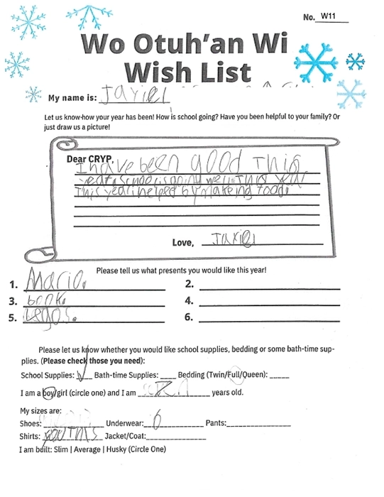 Toy drive wish list W11 for 7 year old male