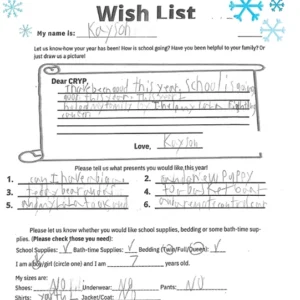 Toy drive wish list W4 for 7 year old male