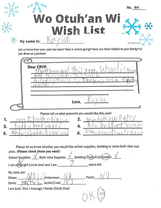 Toy drive wish list W4 for 7 year old male