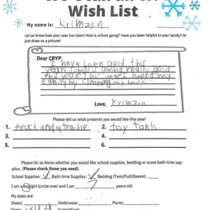 Toy drive wish list W1 for 7 year old male