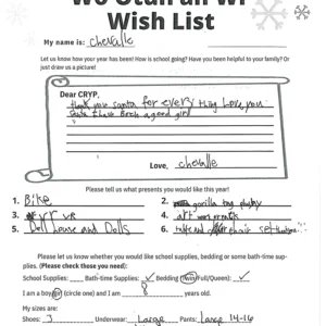 Toy drive wish list 650 for 8 year old female