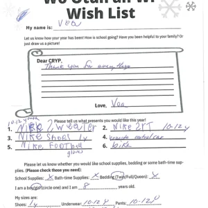 Toy drive wish list 587 for 8 year old female