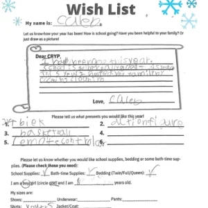 Toy drive wish list W12 for 8 year old male