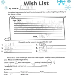 Toy drive wish list W7 for 8 year old male