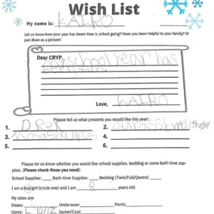 Toy drive wish list W8 for 8 year old male