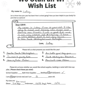 Toy drive wish list 499 for 10 year old male