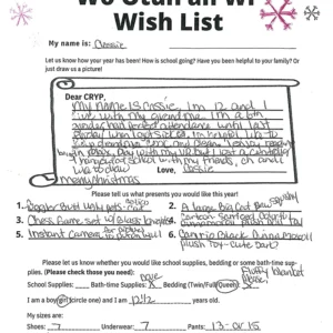 Toy drive wish list 273 for 12 year old female