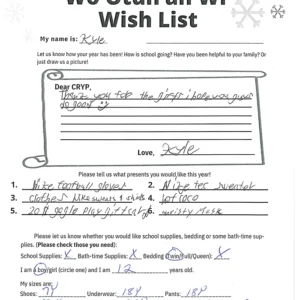 Toy drive wish list 585 for 12 year old male