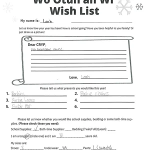 Toy drive wish list 644 for 14 year old female