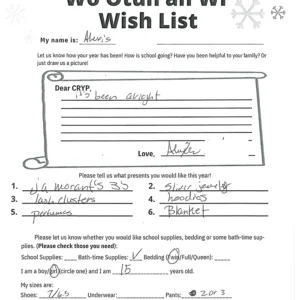 Toy drive wish list 597 for 15 year old female
