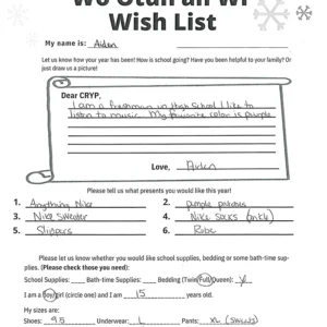 Toy drive wish list 643 for 15 year old male