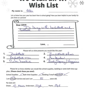 Toy drive wish list 296 for 15 year old male