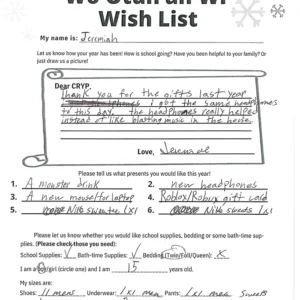 Toy drive wish list 583 for 15 year old male