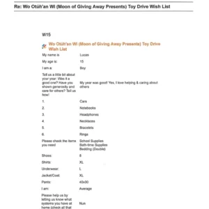 Toy drive wish list W15 for 15 year old male