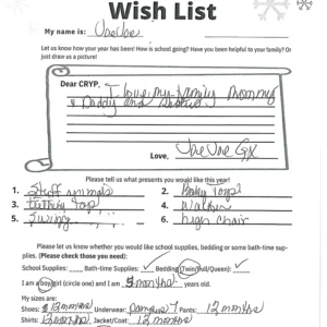 Toy drive wish list 545 for 1 year old male