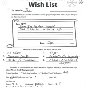 Toy drive wish list 769 for 1 year old male