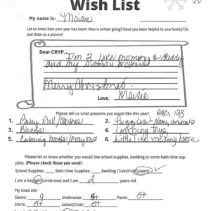 Toy drive wish list 544 for 2 year old female