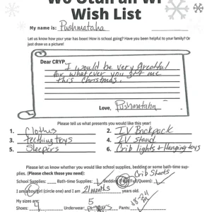 Toy drive wish list 758 for 2 year old male