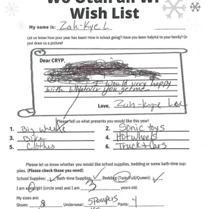 Toy drive wish list 759 for 3 year old male