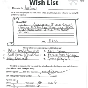 Toy drive wish list 543 for 5 year old female
