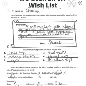 Toy drive wish list 760 for 5 year old male