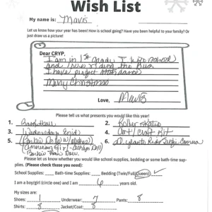 Toy drive wish list 542 for 6 year old female