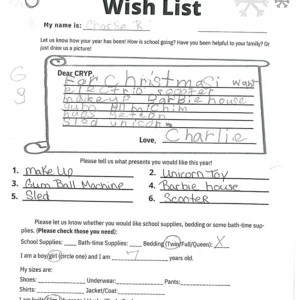 Toy drive wish list 416 for 7 year old female