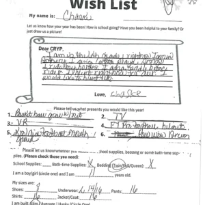 Toy drive wish list 597 for 11 year old male