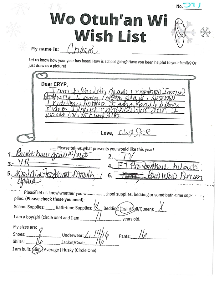 Toy drive wish list 597 for 11 year old male