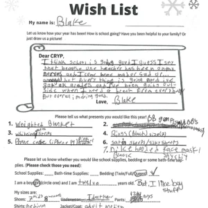 Toy drive wish list 227 for 12 year old female