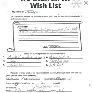 Toy drive wish list 764 for 12 year old female