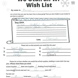 Toy drive wish list 762 for 12 year old female