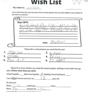 Toy drive wish list 711 for 12 year old male