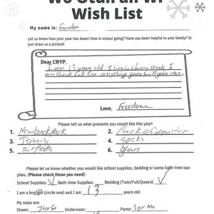 Toy drive wish list 761 for 13 year old female